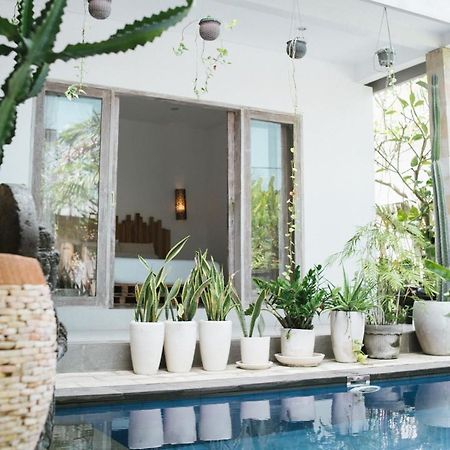 Cat Cow Yoga Villa Canggu Екстериор снимка