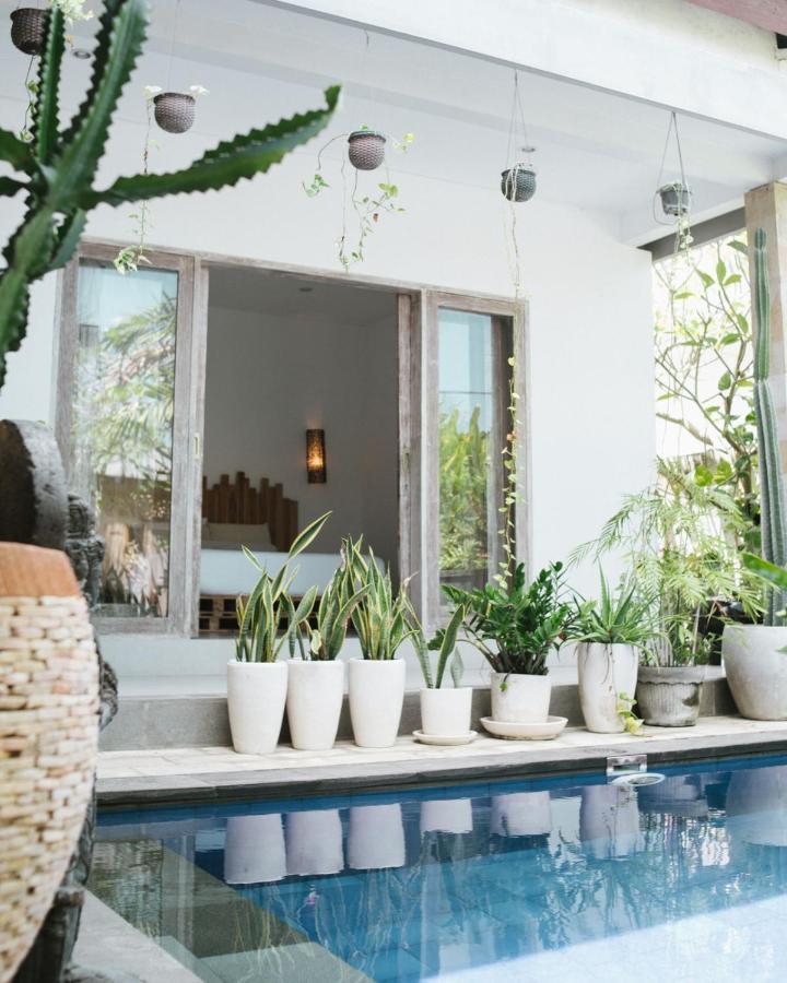 Cat Cow Yoga Villa Canggu Екстериор снимка